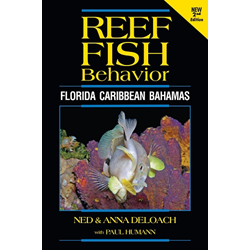 Reef Fish Behavior - 2nd Edition